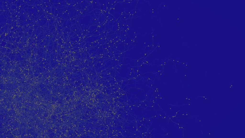Network